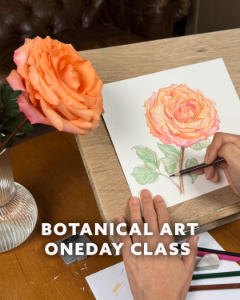 보태니컬 아트 원데이 클래스 - 수채색연필로 그린 꽃 그림